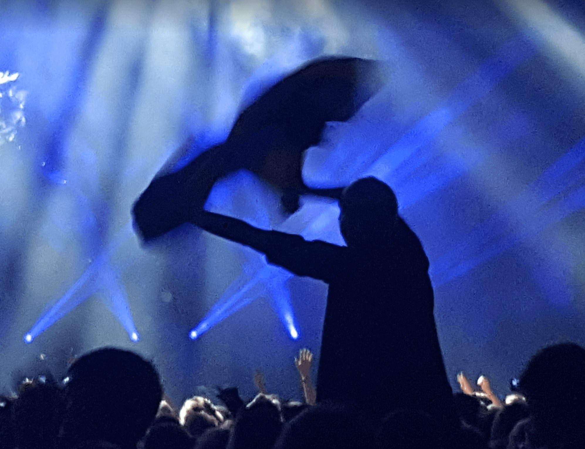 Foto på Hannes iPhone